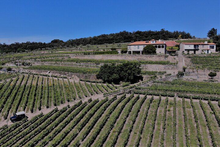 Lamego Wine Cellar Museum Visit at Quinta da Portela de Baixo with Port Tasting (5/5)