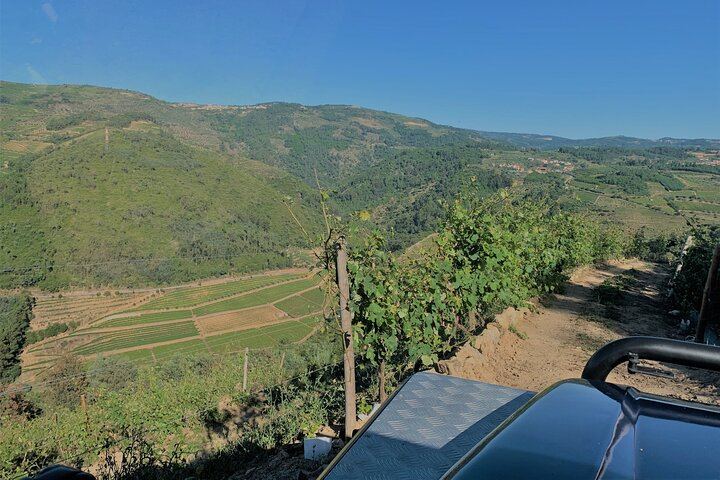 Lamego Wine Cellar Museum Visit at Quinta da Portela de Baixo with Port Tasting (3/5)