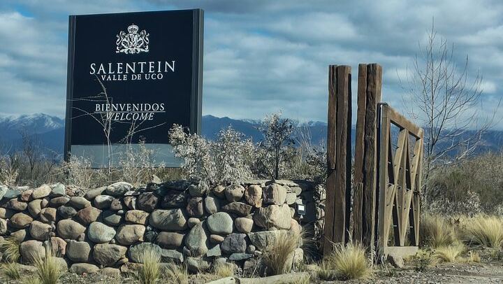Uco Valley Winery Tour: Sophenia Tasting and Salentein Four-Step Lunch, Hotel Pickup (2/9)