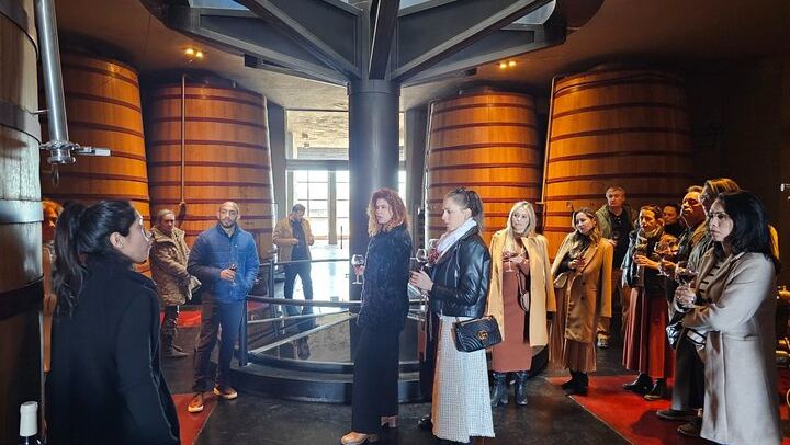 Uco Valley Winery Tour: Sophenia Tasting and Salentein Four-Step Lunch, Hotel Pickup (1/9)