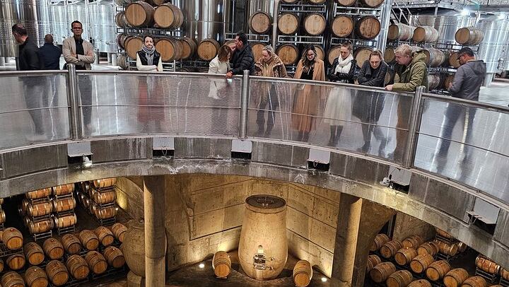 Uco Valley Winery Tour: Sophenia Tasting and Salentein Four-Step Lunch, Hotel Pickup (4/9)