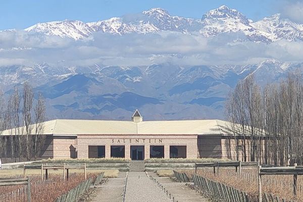 Uco Valley Winery Tour: Sophenia Tasting and Salentein Four-Step Lunch, Hotel Pickup