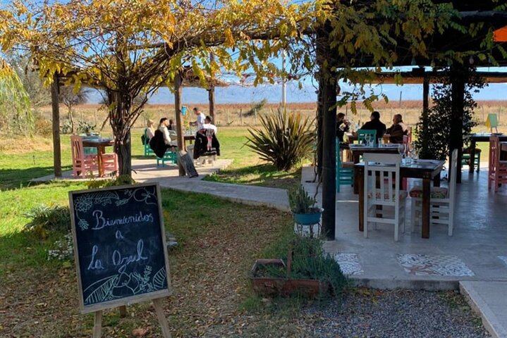 Uco Valley Winery Tour: Sophenia Tasting and Salentein Four-Step Lunch, Hotel Pickup (9/9)