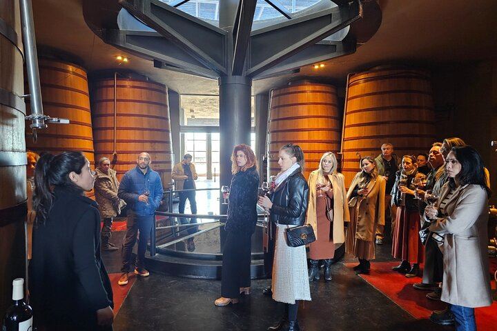 Uco Valley Winery Tour: Sophenia Tasting and Salentein Four-Step Lunch, Hotel Pickup (1/9)