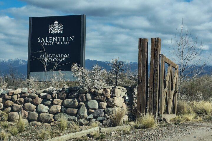 Uco Valley Winery Tour: Sophenia Tasting and Salentein Four-Step Lunch, Hotel Pickup (2/9)