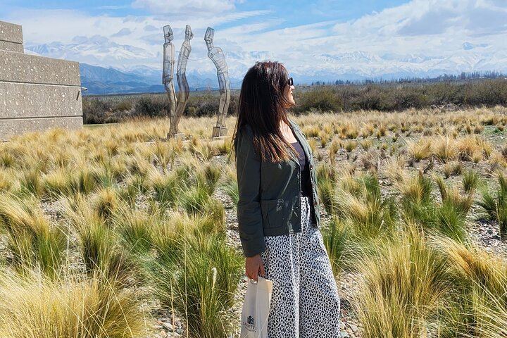 Uco Valley Winery Tour: Sophenia Tasting and Salentein Four-Step Lunch, Hotel Pickup (3/9)
