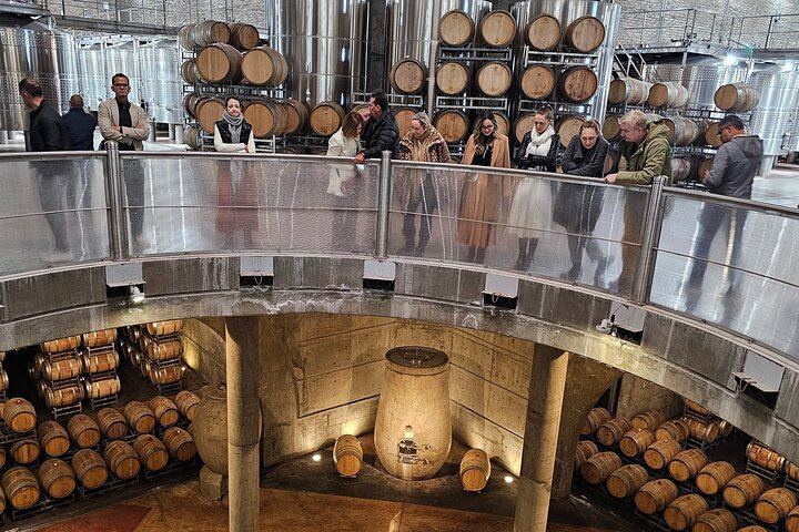 Uco Valley Winery Tour: Sophenia Tasting and Salentein Four-Step Lunch, Hotel Pickup (4/9)