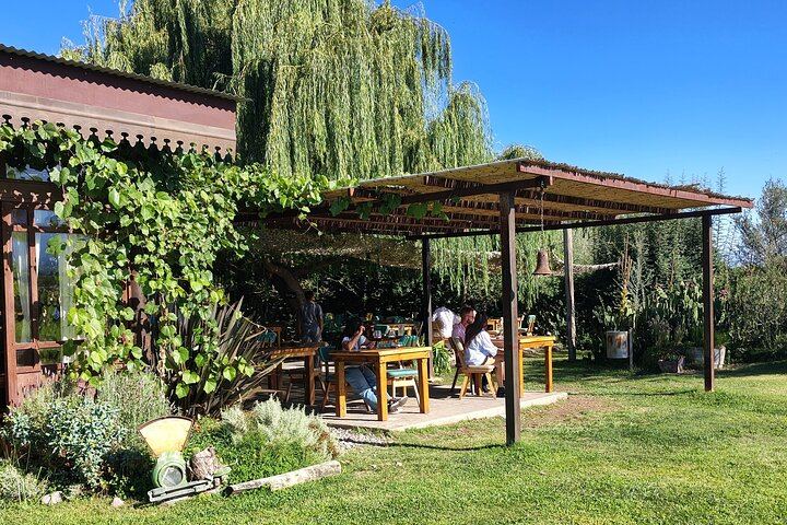 Uco Valley Winery Tour: Sophenia Tasting and Salentein Four-Step Lunch, Hotel Pickup (5/9)