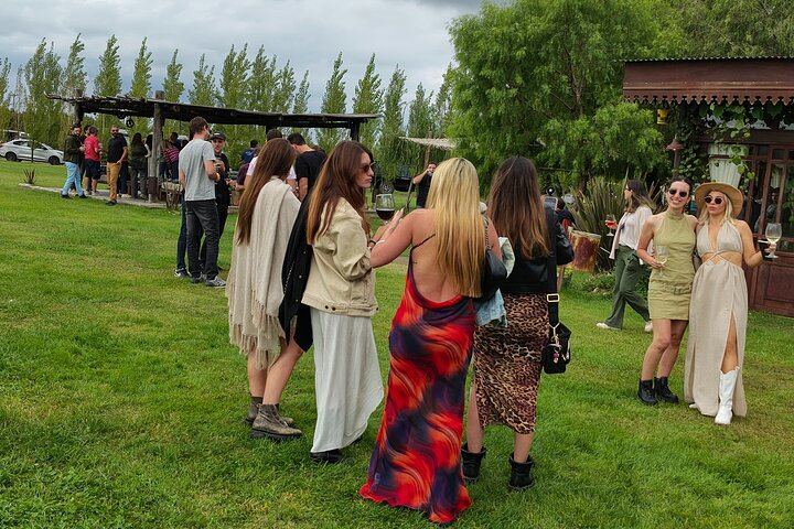 Uco Valley Winery Tour: Sophenia Tasting and Salentein Four-Step Lunch, Hotel Pickup (6/9)