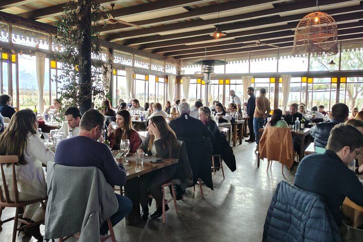 Uco Valley Winery Tour: Sophenia Tasting and Salentein Four-Step Lunch, Hotel Pickup (8/9)