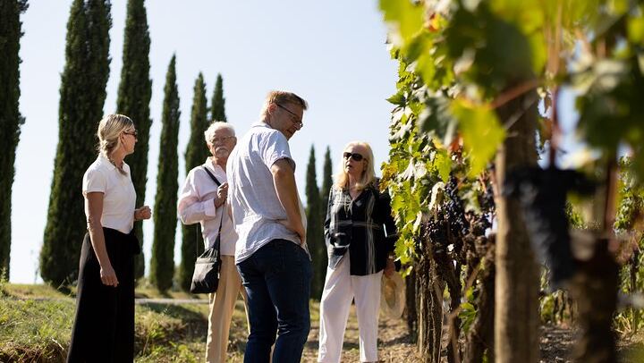 Biodynamic Winery Tour and Seated Six-Wine Tasting at Corte Pavone, Montalcino (3/10)