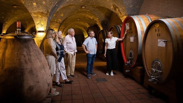 Biodynamic Winery Tour and Seated Six-Wine Tasting at Corte Pavone, Montalcino (4/10)