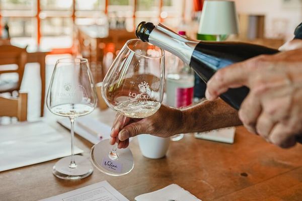 Biodynamic Winery Tour and Seated Six-Wine Tasting at Corte Pavone, Montalcino