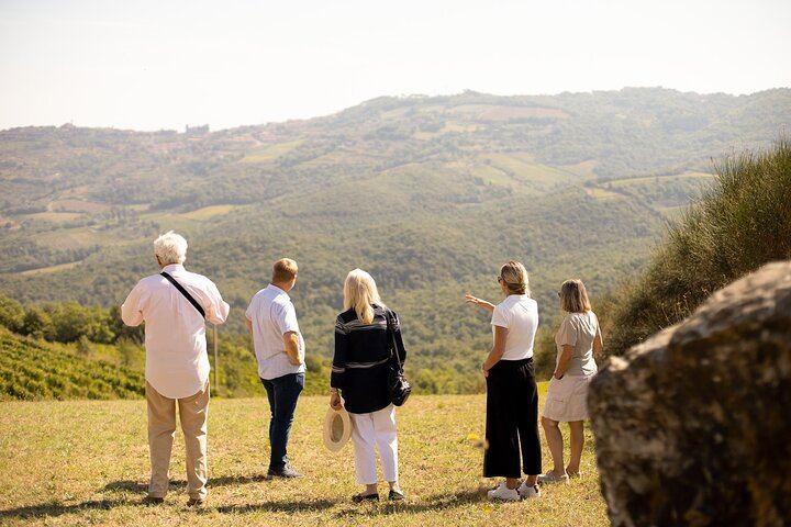 Biodynamic Winery Tour and Seated Six-Wine Tasting at Corte Pavone, Montalcino (1/10)