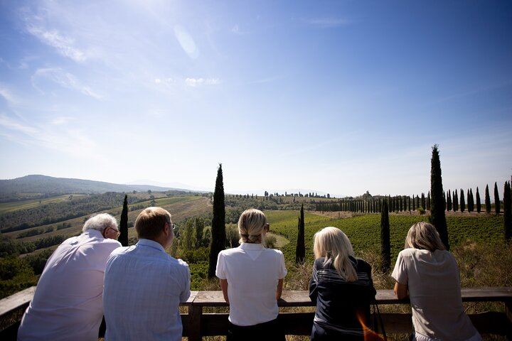 Biodynamic Winery Tour and Seated Six-Wine Tasting at Corte Pavone, Montalcino (7/10)