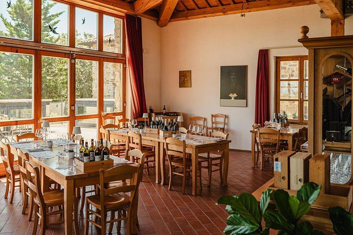 Biodynamic Winery Tour and Seated Six-Wine Tasting at Corte Pavone, Montalcino (2/10)
