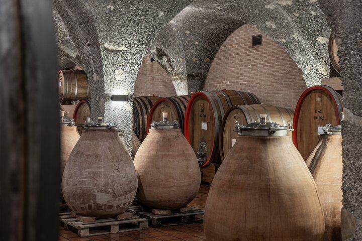 Biodynamic Winery Tour and Seated Six-Wine Tasting at Corte Pavone, Montalcino (9/10)