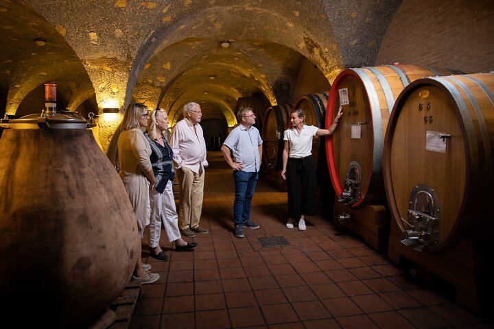Biodynamic Winery Tour and Seated Six-Wine Tasting at Corte Pavone, Montalcino (4/10)