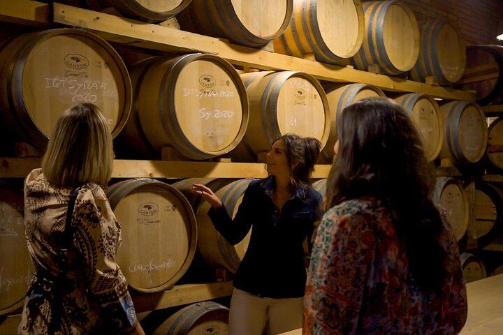 Chianti, Montalcino and Montepulciano by Minivan from Florence: Wine Tastings and Lunch (5/12)