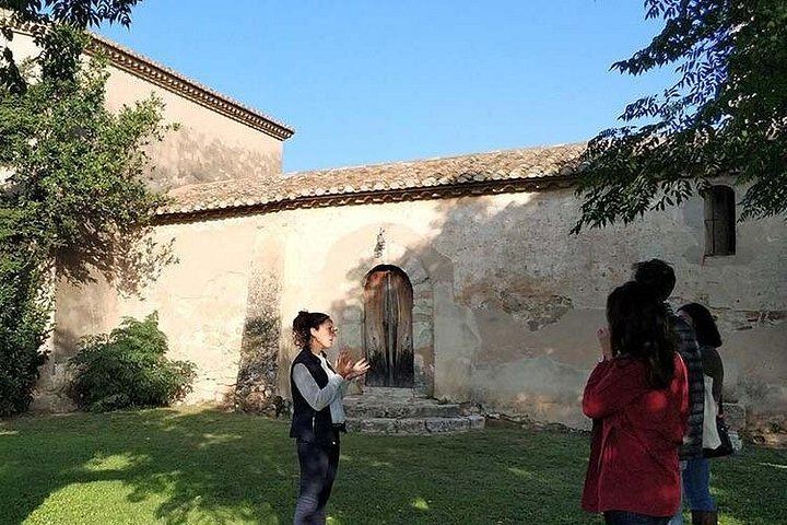 Private Penedès Wine and Cava Tasting Tour from Barcelona with Hotel Pickup (3/10)