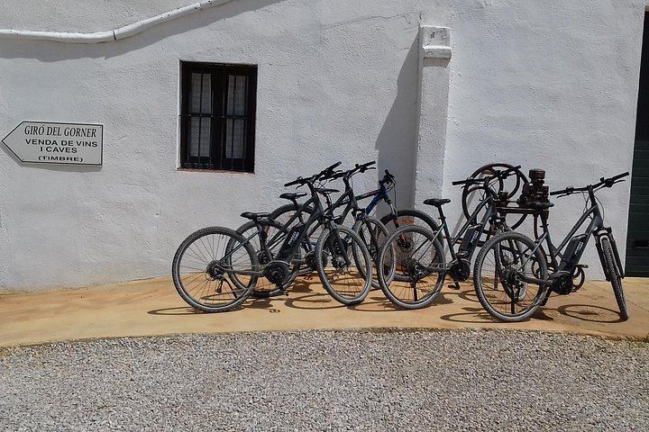 Penedès Vineyard E-Bike or Mountain Bike Small Group Day Trip with 2 Wineries (8/10)