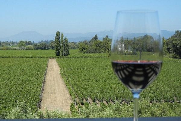 Small-Group Sonoma and Napa Wine Tour from San Francisco with Three Tastings