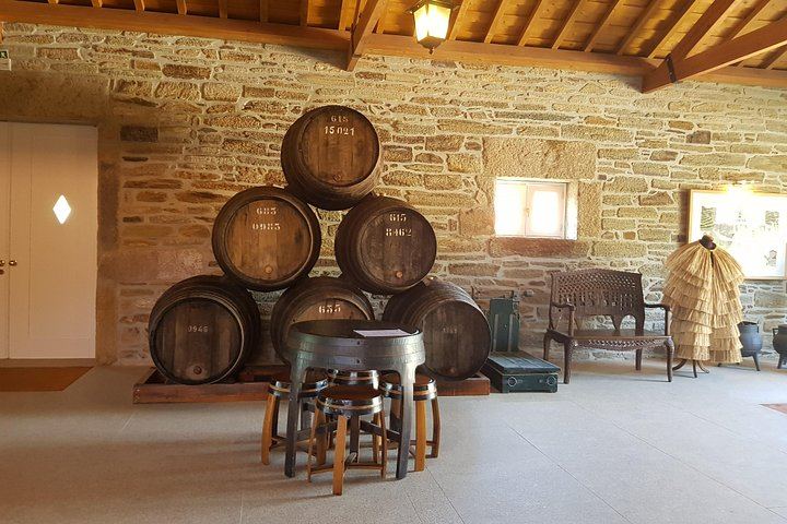 Small-Group Douro Valley Day from Porto: Four Wineries, Ten Wines and Five Olive Oils (8/12)