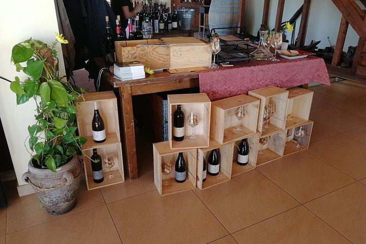 Gambino Winery Tasting on Etna from Taormina: Four Wines and a Sicilian Aperitif (2/12)