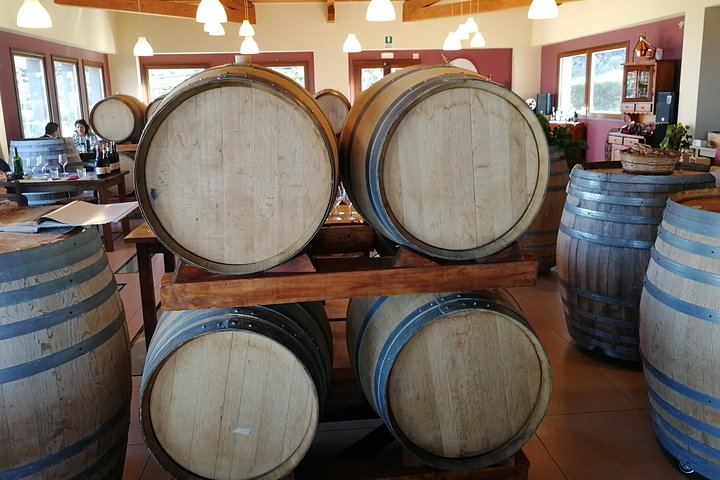 Gambino Winery Tasting on Etna from Taormina: Four Wines and a Sicilian Aperitif (7/12)
