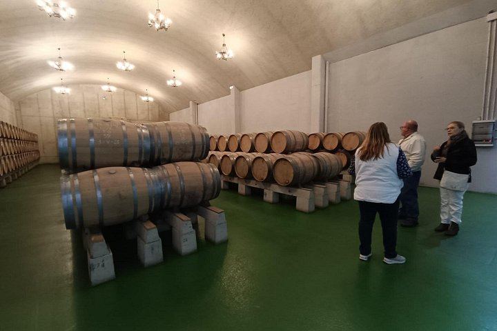 Private Rioja Wine Day from San Sebastian: Two to Three Wineries, Three-Course Lunch (5/12)