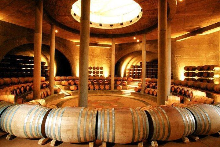 Maipú Private Wine Route: Finca Agostino, Sin Fin and an Olive Oil Boutique (4/12)