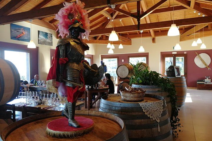 Gambino Winery Tasting on Etna from Taormina: Four Wines and a Sicilian Aperitif (8/12)