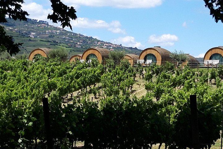 Private Premium Douro Tour, Mercedes E Class, 1 to 4 People (11/12)