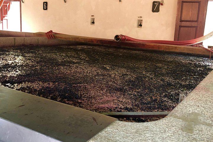 Premium Private Douro Valley Wine Tour with Hotel Pickup and Safe Travels (10/12)