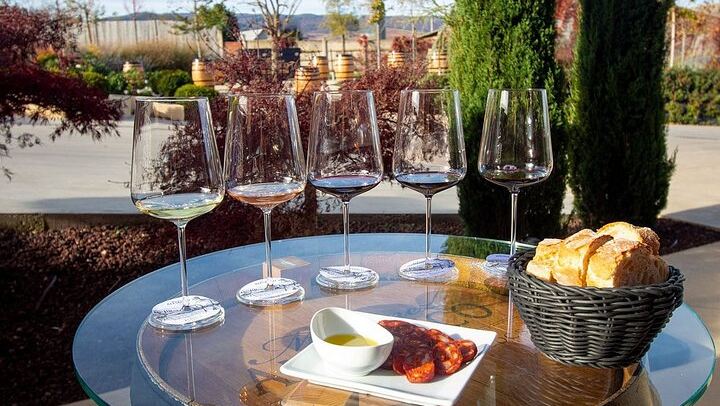 Badarán Family Winery Visit with Four-Wine Tasting and Riojan Appetizer (4/8)