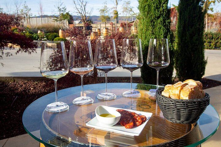 Badarán Family Winery Visit with Four-Wine Tasting and Riojan Appetizer (4/8)