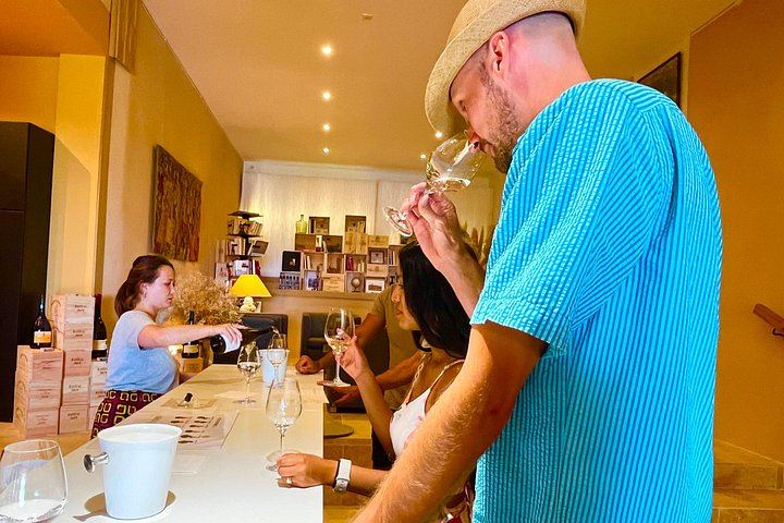 Half-Day Côtes du Rhône Wine Tour from Avignon: Beaumes-de-Venise to Châteauneuf-du-Pape (3/7)
