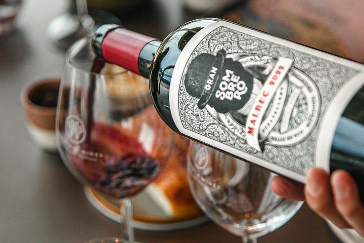 Huentala Wines Gualtallary Lunch: Group Shuttle from Mendoza with Wine Pairing (2/8)