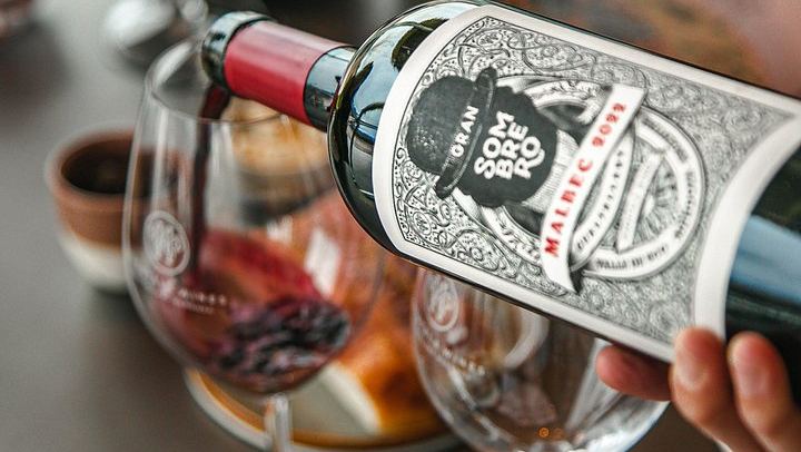 Huentala Wines Gualtallary Lunch: Group Shuttle from Mendoza with Wine Pairing (2/8)