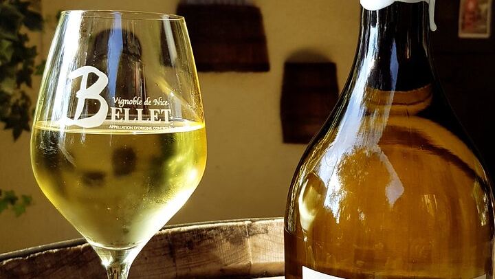 Half-Day Bellet Wine Tour from Nice: Two Wineries, Eight Wines, Small Minivan Group (4/8)