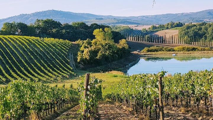Five-Hour Chianti Sunset Tour from Florence with Driver and Two Tastings at a Family Farm (2/11)