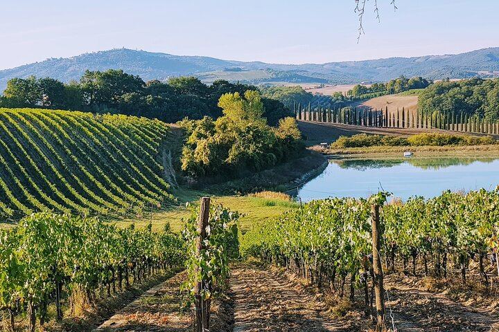 Five-Hour Chianti Sunset Tour from Florence with Driver and Two Tastings at a Family Farm (2/11)