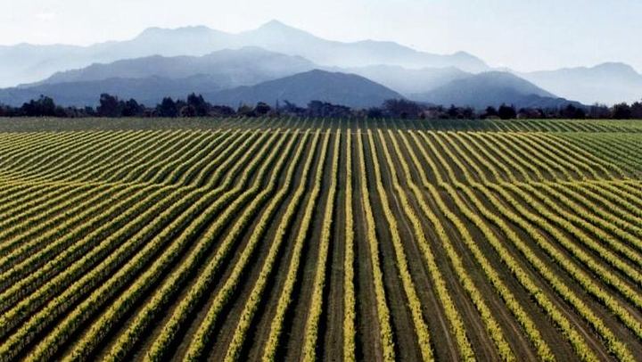 Full-Day Small-Group Marlborough Wine Tour from Blenheim with Winery Lunch (1/9)