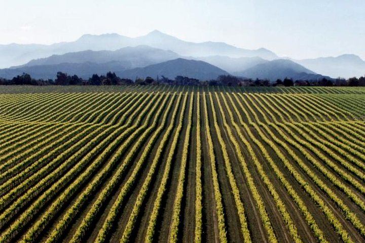 Full-Day Small-Group Marlborough Wine Tour from Blenheim with Winery Lunch (1/9)