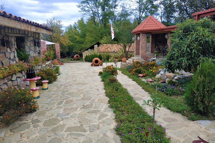 Private Kakheti Wine Day: Qvevri Master, Kvareli Tunnel, Kindzmarauli and KTW Tastings (1/9)