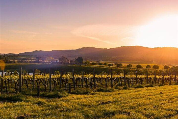 Private Yarra Valley Evening Tour: Barrique Wine Store, Healesville and Dinner at Meletos (5/12)