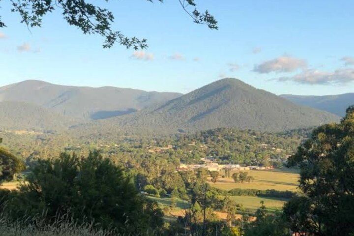 Private Yarra Valley Evening Tour: Barrique Wine Store, Healesville and Dinner at Meletos (1/12)