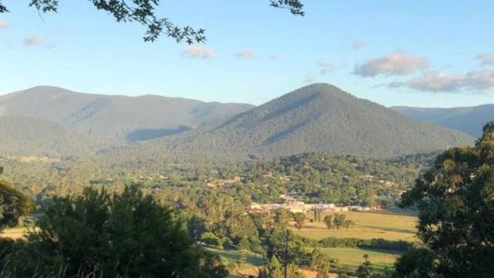 Private Yarra Valley Evening Tour: Barrique Wine Store, Healesville and Dinner at Meletos (1/12)