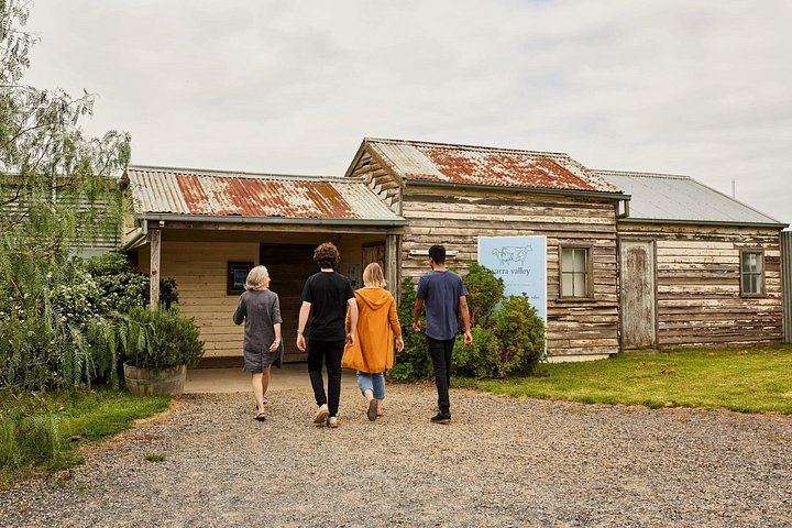 Yarra Valley Food and Wine Tour for 12 Max: Dairy Cheese, Yering Station, Kangaroos (10/12)