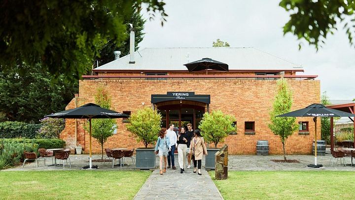 Yarra Valley Food and Wine Tour for 12 Max: Dairy Cheese, Yering Station, Kangaroos (4/12)